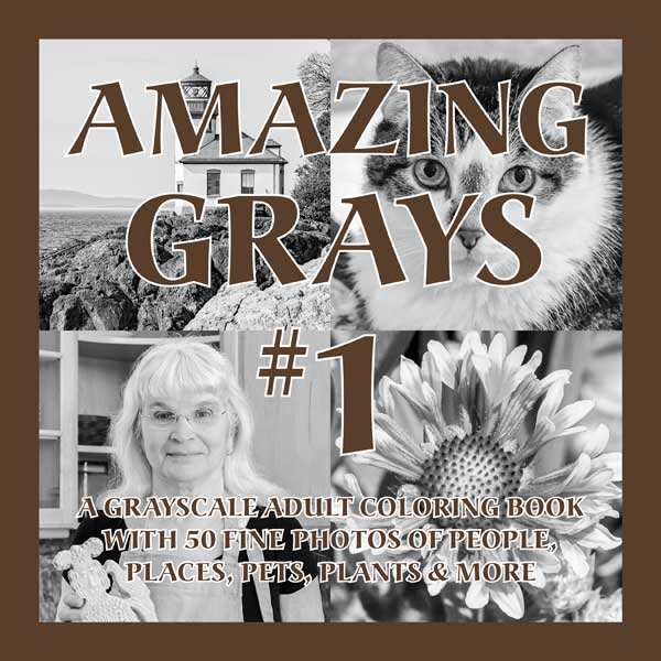 Book cover for Amazing Grays #1