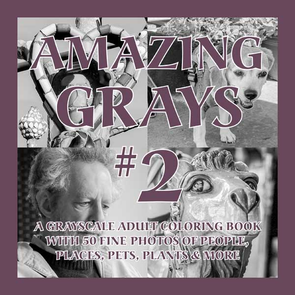 Book cover for Amazing Grays #2