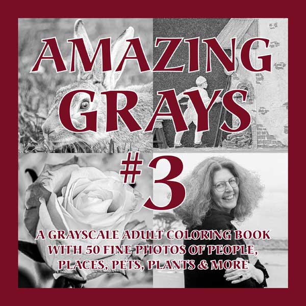 Book cover for Amazing Grays #3